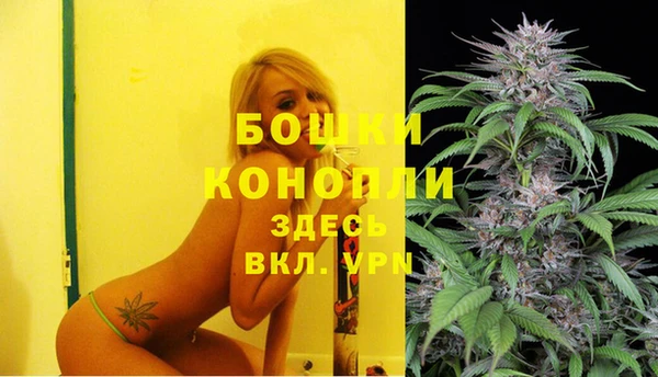 винт Арсеньев