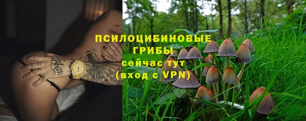 винт Арсеньев