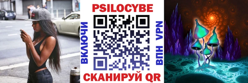 Псилоцибиновые грибы Psilocybe Аркадак