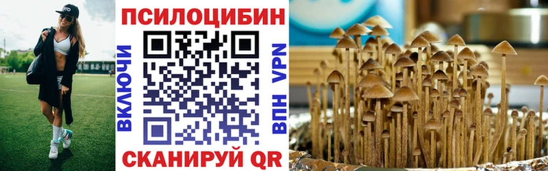 Галлюциногенные грибы Cubensis  Аркадак 